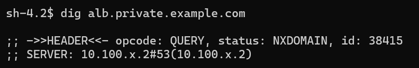 実行コマンドと結果 (2)